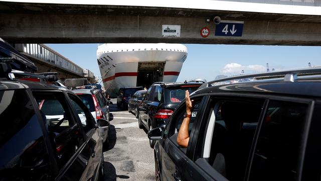 Spanien: 27 Jagdhunde bei Schiffsüberfahrt nach Mallorca verendet