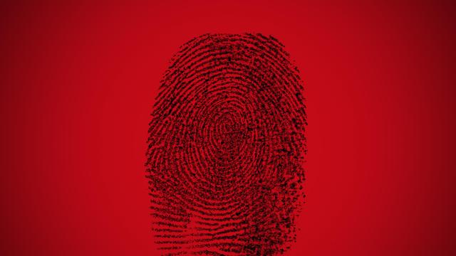 BKA-Lagebild: Ist die Herkunft schuld – oder das Geschlecht?