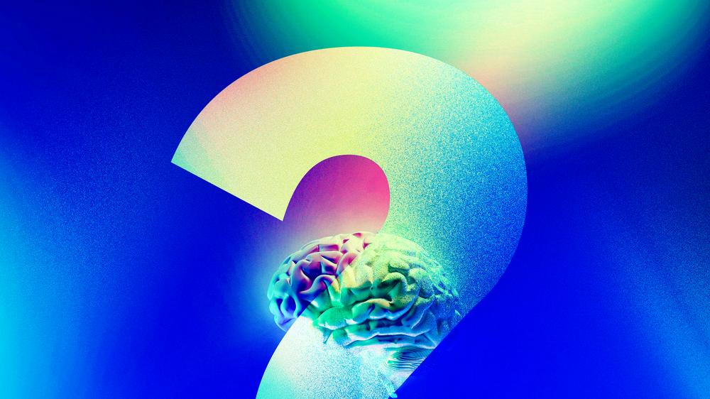 Knowledge test of the day: Thinking asked: the most difficult questions from the knowledge test of the day