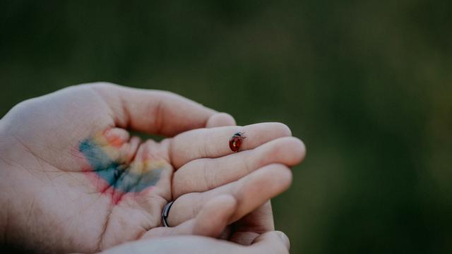 Dunkelfeldstudie zu Gewalt: Jeder Zweite hat als Minderjähriger körperliche Gewalt erfahren