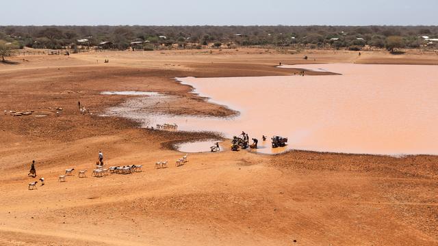 Somalia: Welternährungsprogramm warnt vor Ende der Hilfsprogramme in Somalia