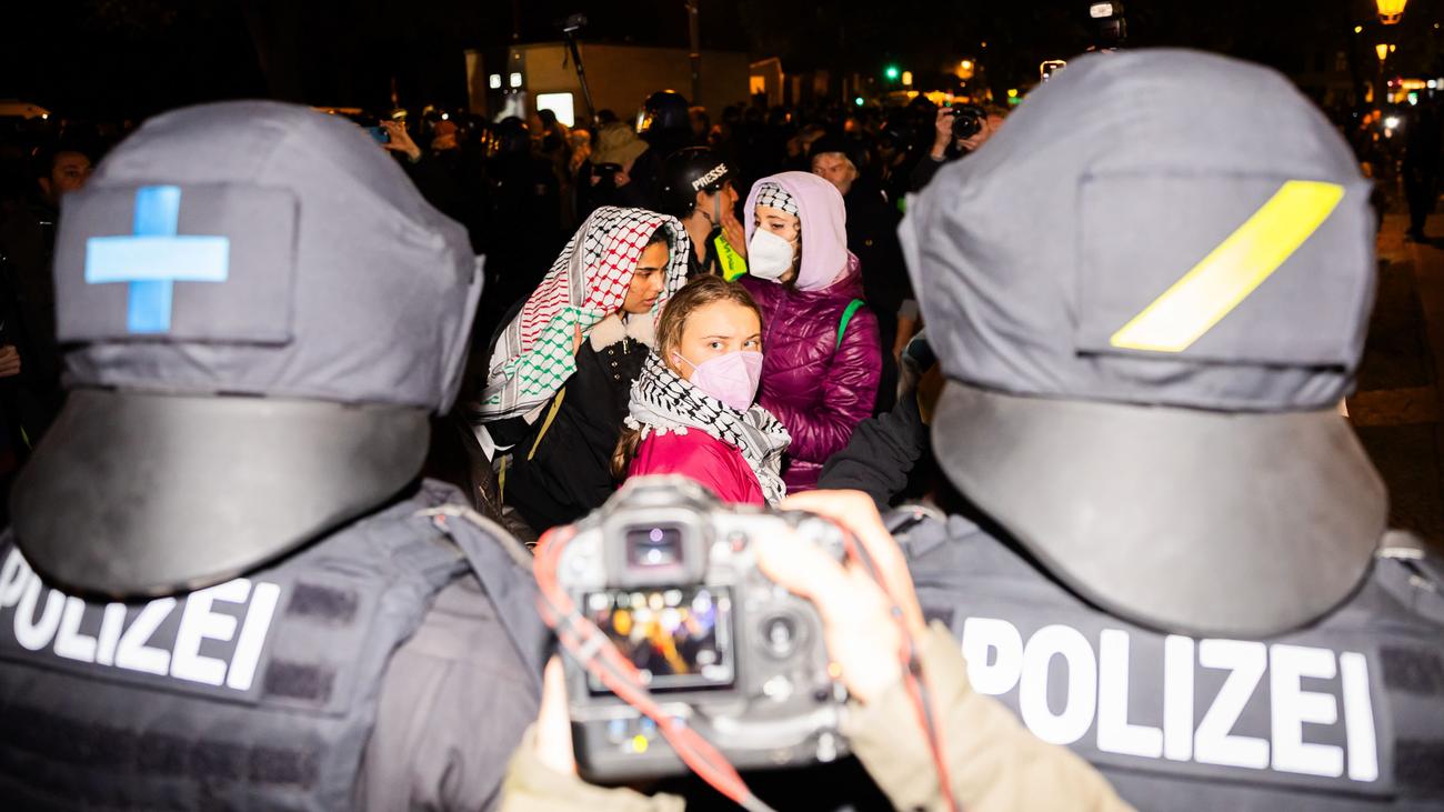 Derecho a la libertad de expresión: experta de la ONU advierte sobre peligros para la libertad de expresión en Alemania