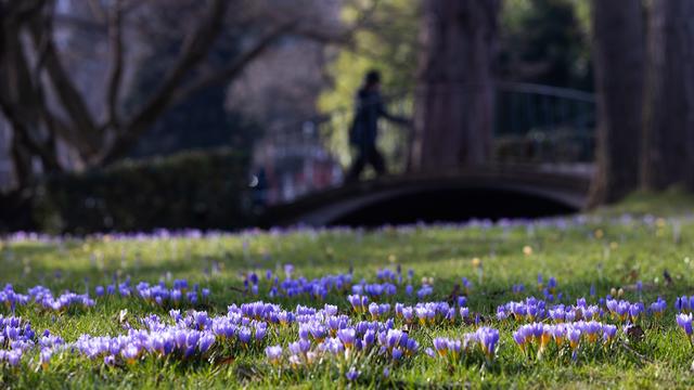 Wetter: Meteorologen sagen 