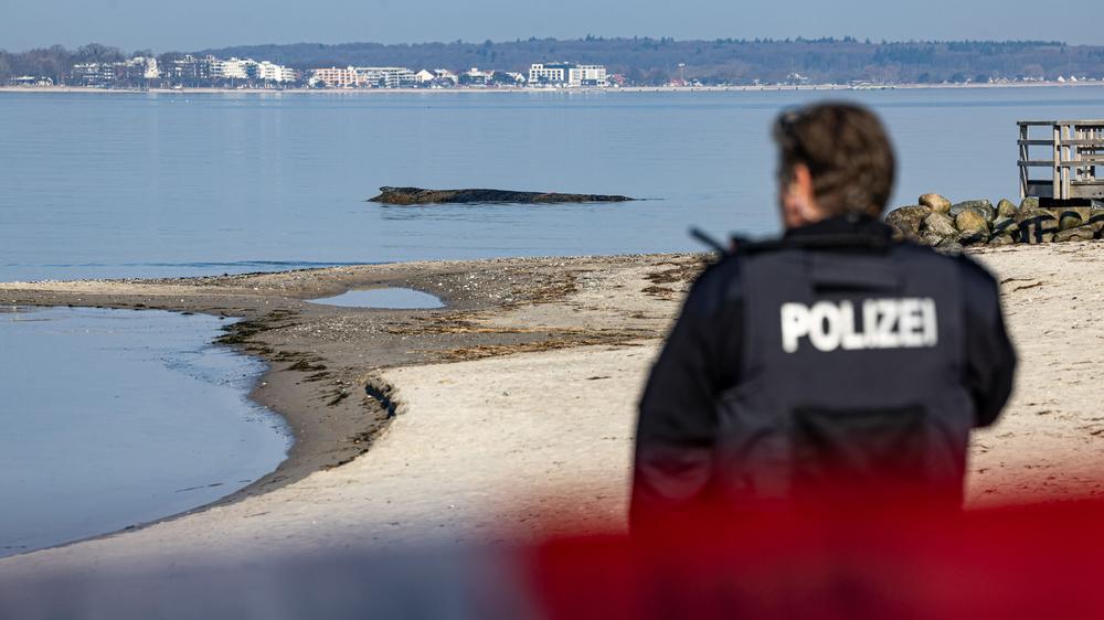 Meeresrettung: Die Polizei hat das Gelände in der Lübecker Bucht abgesperrt.