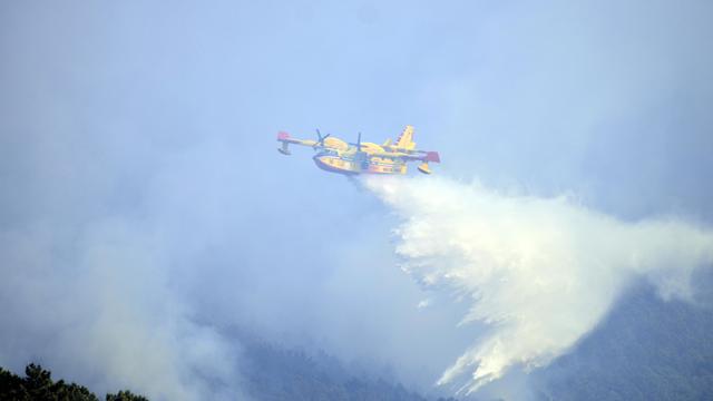 Bild: Italien: Tausende fliehen in der Toskana vor Waldbränden