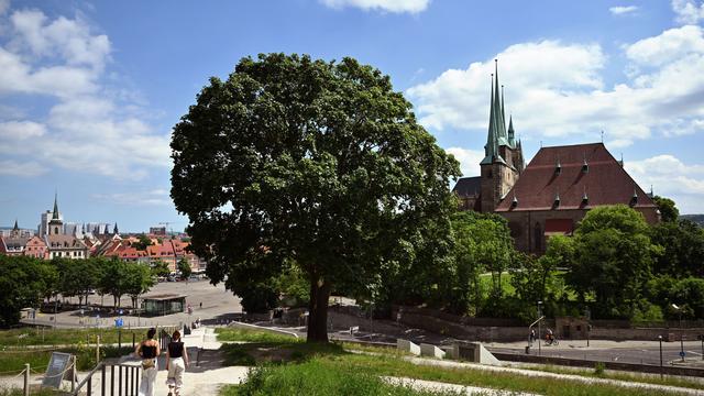 Glücksatlas: Erfurter sind die zufriedensten Großstädter in 