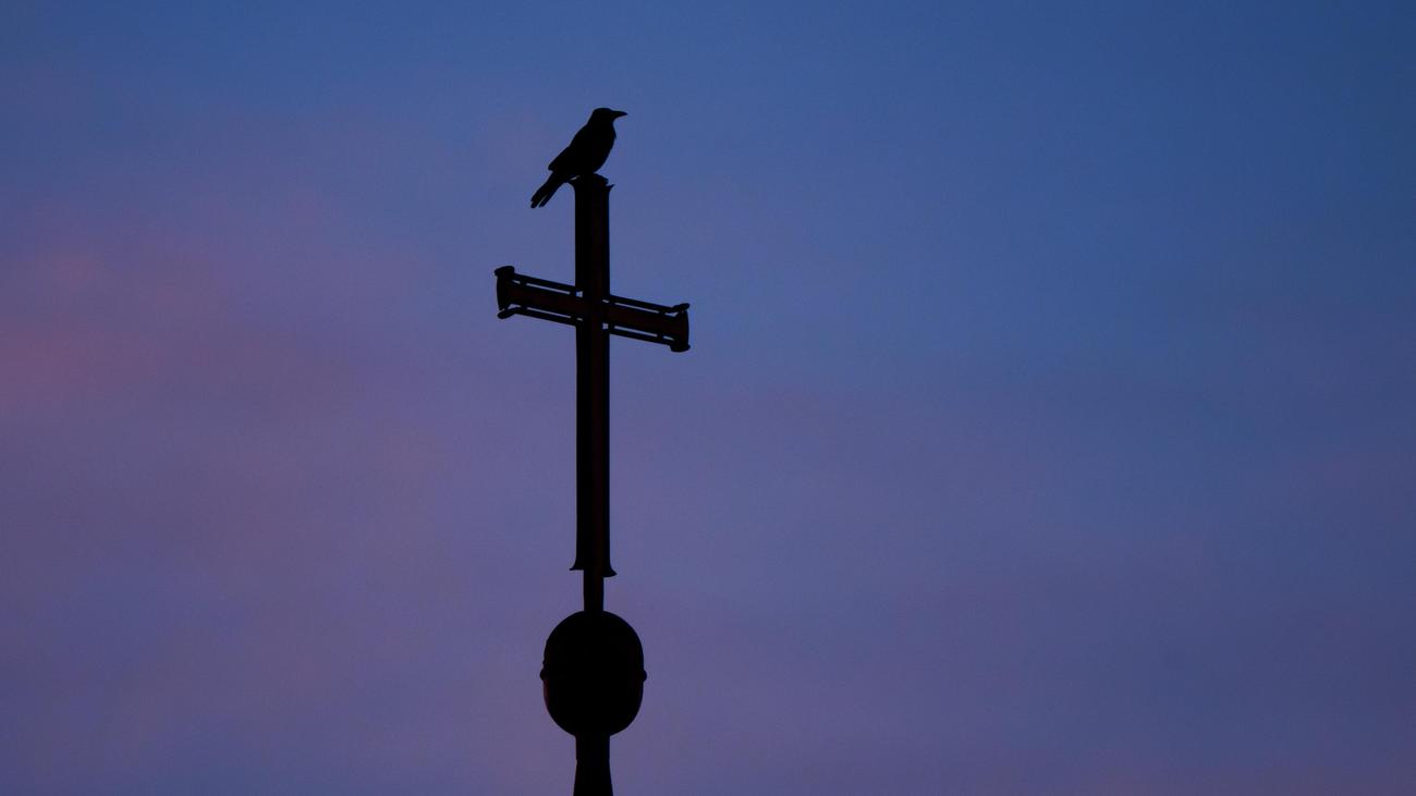 Verfassungsschutz: Christliche Influencer pflegen laut Verfassungsschutz Kontakte zur AfD