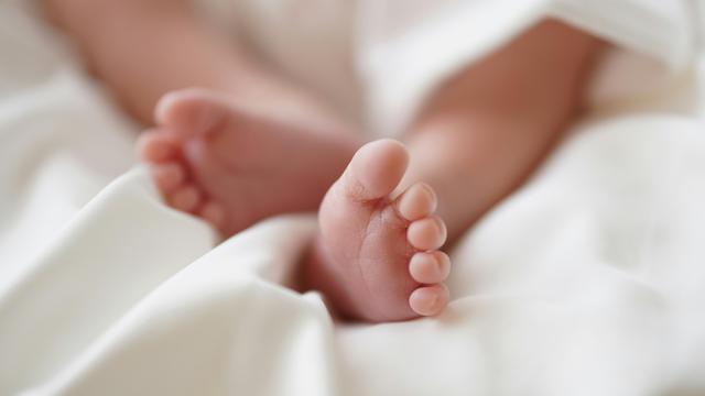 Eineiige Vierlinge in Australien: Australierin bringt gesunde eineiige Vierlinge zur Welt