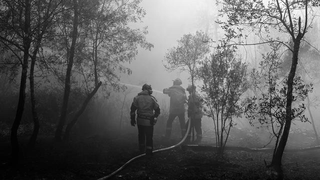 Waldbrände in Europa: Brandgefährliche Hitze: Wie Frankreich gegen die Waldbrände ankämpft