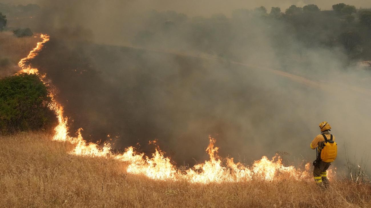Waldbrände: Mehr als 19.000 Menschen in Spanien müssen ihre Häuser verlassen