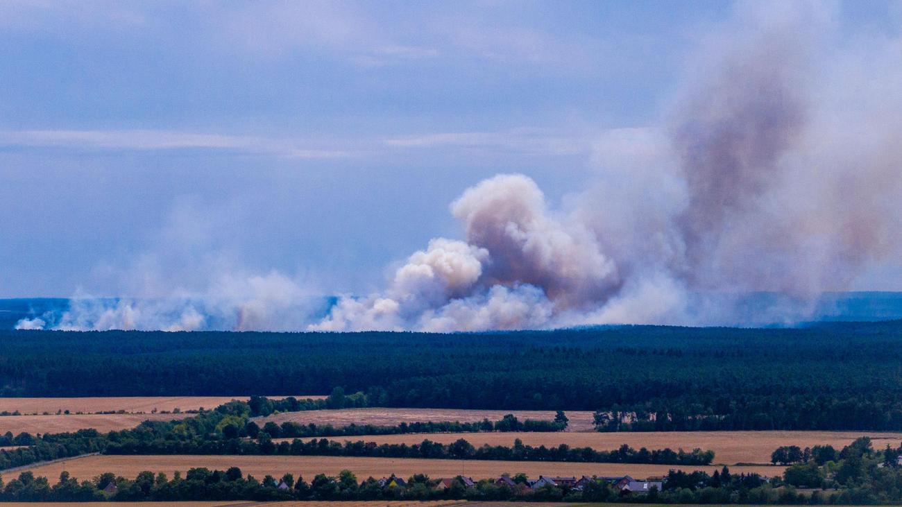 Müritz-Nationalpark: Orte in Mecklenburg-Vorpommern wegen Waldbrandes erneut geräumt