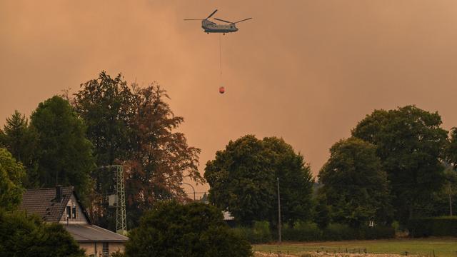 Hitze in Europa: Feuerwehrleute aus Europa kämpfen in Belgien gegen die Flammen
