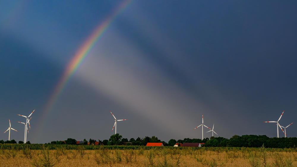 Regen Wetter Deutschland Trockenheit Waldbrände Tief Nora