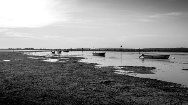 Wassermangel: Es stinkt am Bodensee
