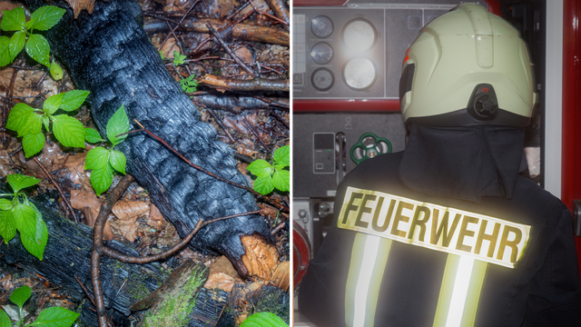 Brandstiftung durch Feuerwehrmann: Verbrannte Erde