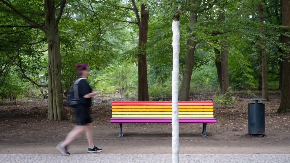 CSD Anschlag Berlin Tiergarten Baum Regenbogenbank
