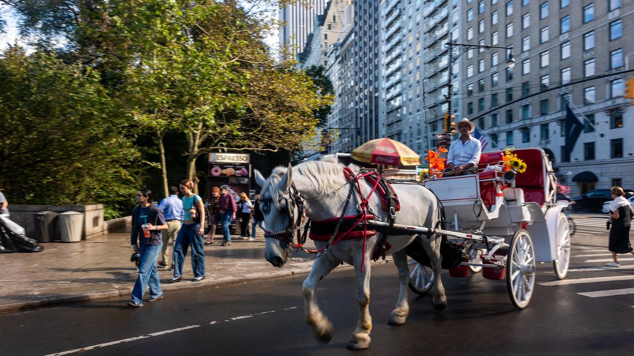 USA: New York bans carriage rides through Central Park