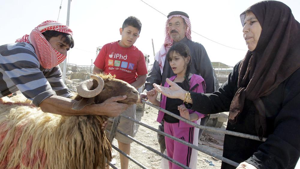 Opferfest Die vielen Gesichter des Eid alAdha ZEIT ONLINE