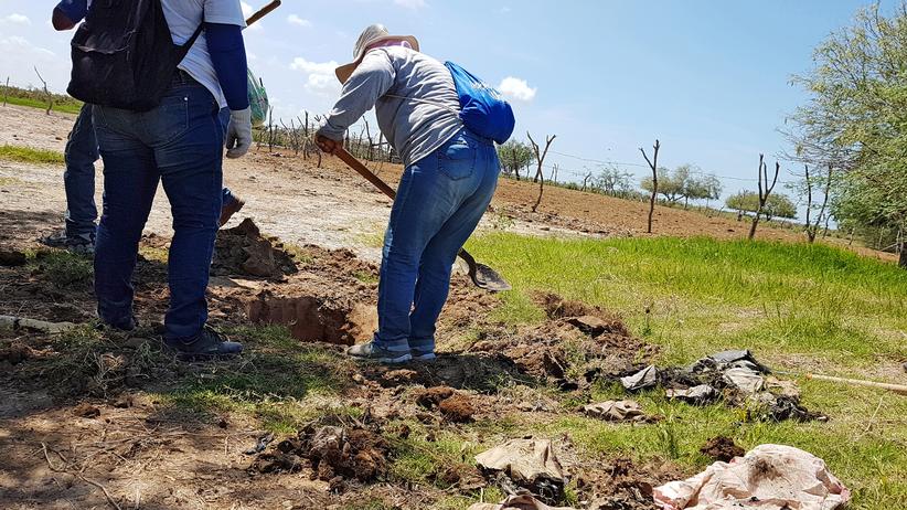 Mexiko: Unter einem Baum vergraben finden die "Rastreadoras" zerrissene Kleidung.