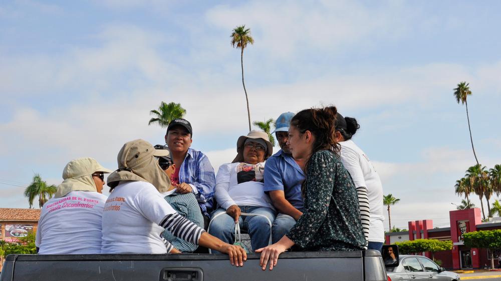 Mexiko: Auf dem Pick-up fahren die "Rastreadoras de El Fuerte", die Spurensucherinnen von El Fuerte, zu einer Suchaktion aus der Stadt.