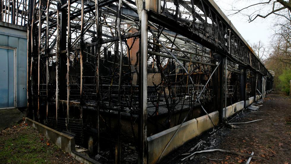 Silvesterbrand: Krefelder Zoo Nach Feuer Wieder Geöffnet | ZEIT ONLINE