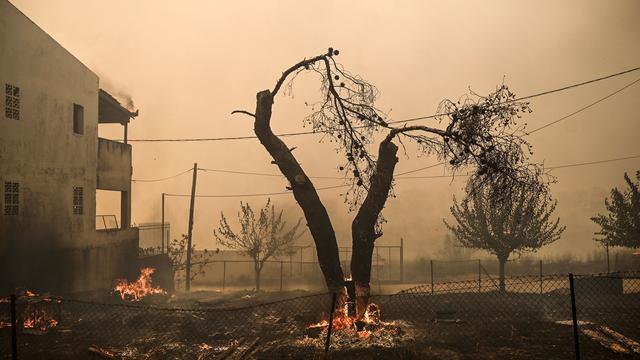 Griechenland: Griechische Behörden vermuten Brandstifter hinter Waldbränden