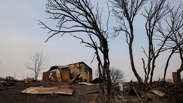Griechenland: Zwei weitere Tote bei schweren Waldbränden in Griechenland entdeckt