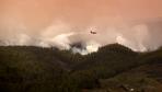 Teneriffa: Polizei geht bei Waldbrand von Brandstiftung aus