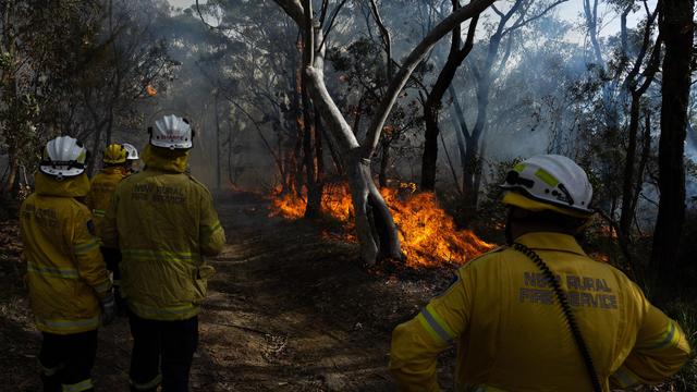 Canberra: Behörden ordnen wegen Buschbränden Evakuierungen an