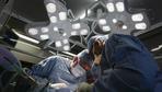 Organtransplantation: US-Ärzte verpflanzen lebendigem Patienten Schweineniere