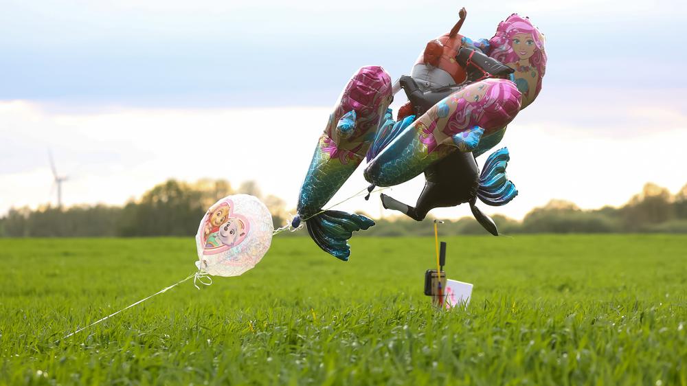 Bremervörde: Luftballons auf einem Feld bei Bremervörde in Niedersachsen: Bei der Suche nach dem vermissten Sechsjährigen versuchten die Helfer mit verschiedenen Mitteln, seine Aufmerksamkeit zu erregen.