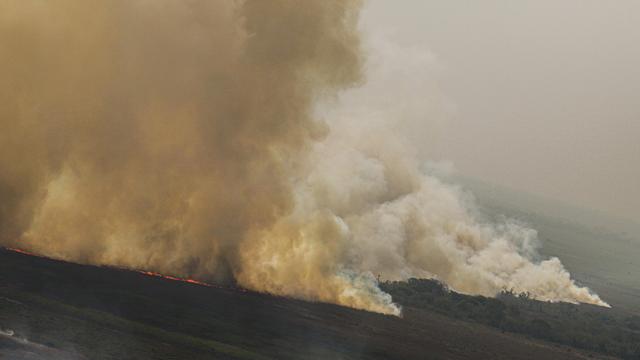Umwelt: Knapp ein Viertel Brasiliens hat seit 1985 gebrannt