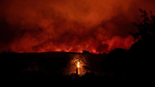 Griechenland: Waldbrände toben bei Athen und Thessaloniki