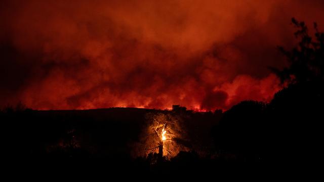 Griechenland: Waldbrände toben bei Athen und Thessaloniki