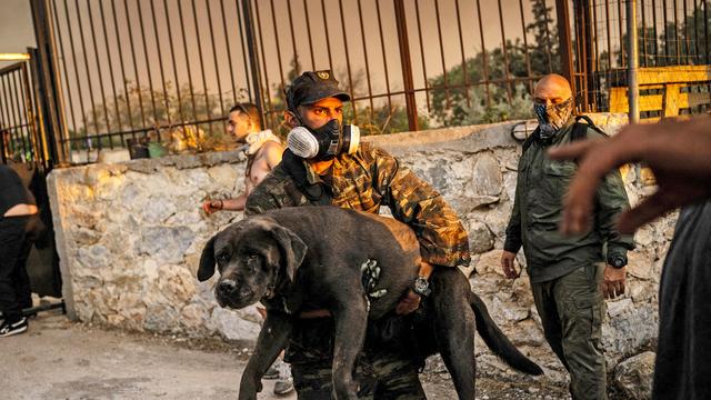 Waldbrände in Griechenland: Asche, Rauch und Furcht vor weiteren Feuern