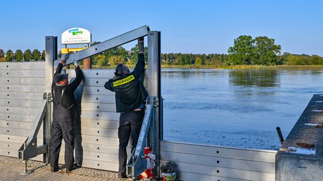 Hochwasser: Scheitel der Oder nähert sich Brandenburg