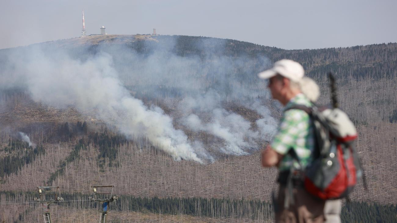 Incendie de forêt dans le Harz : les pompiers n’excluent pas un incendie criminel au Brocken