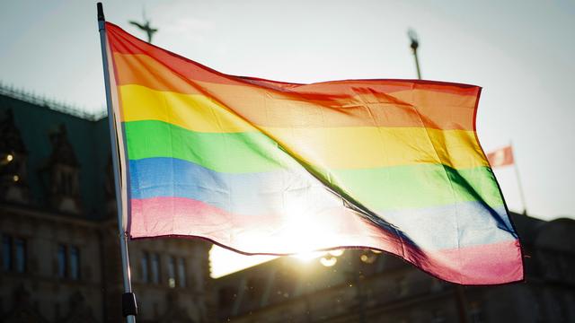 Neubrandenburg: Erneut Regenbogenfahne in Neubrandenburg gestohlen