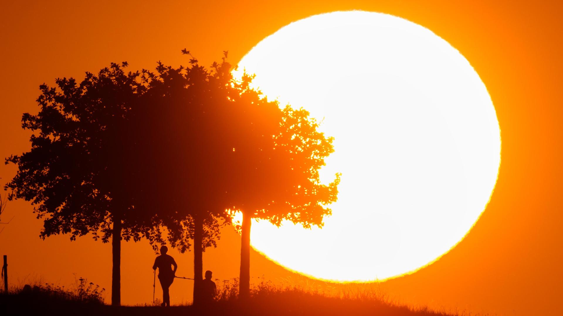 Klimakrise: Erderwärmung lag 2024 erstmals über 1,5-Grad-Marke