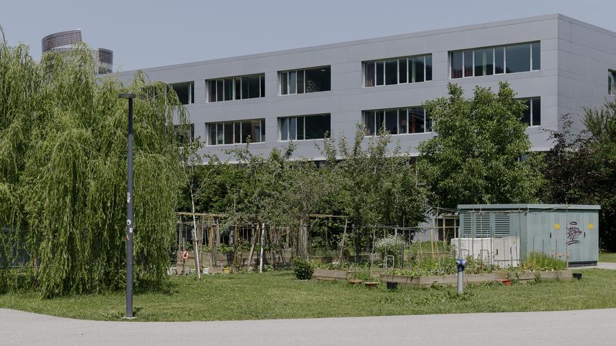 Amoklauf an Schule: DieZeit – Amoklauf im BORG Dreierschützengasse, Graz Schulgebäude