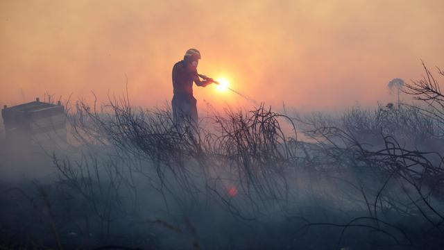 Griechenland: Viele Waldbrände in Griechenland mittlerweile unter Kontrolle gebracht