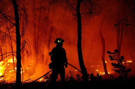 Waldbrände in Europa: Feuerwehrleute löschen die Flammen während eines Waldbrandes in Asprochori, Oropos, Attika.

Service
+++ dpa-Bildfunk +++

Aufnahmedatum
09.07.2025

Bildnachweis
picture alliance/dpa/ZUMA Press Wire | Giorgos Arapekos