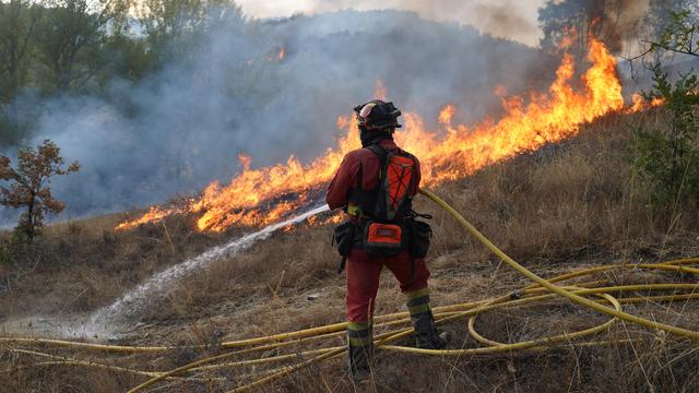 Trockenheit: Waldbrände in Spanien und Portugal flammen wieder auf