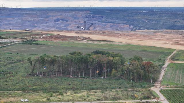 Sündenwäldchen: Polizei räumt besetztes Waldstück am Tagebau Hambach