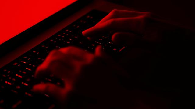 Cyberkriminalität: Internationale Ermittler schalten bekannten Cybercrime-Dienst ab