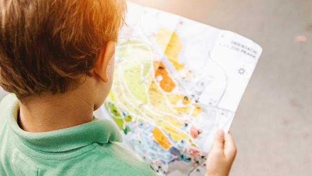 Bildung: Studie zeigt Unterschiede in Bildungschancen aufgrund der Herkunft