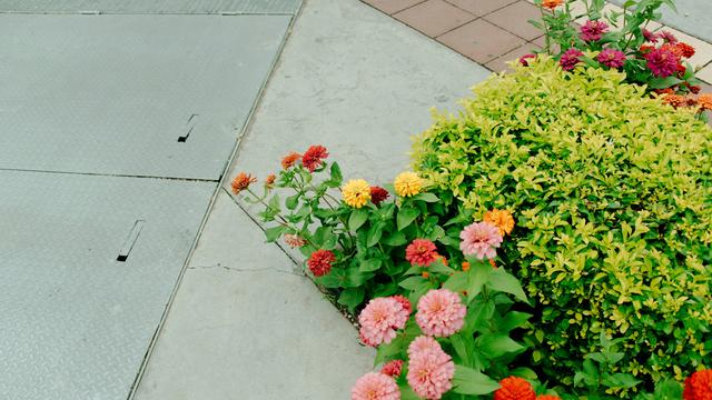 Umfrage: 81 Prozent der Deutschen halten Vermögen für ungerecht verteilt