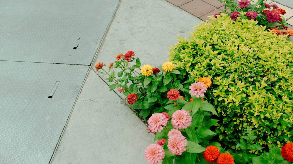 Survey: According to an ARD survey, the majority of Germans believe the distribution of wealth in the country is unfair.