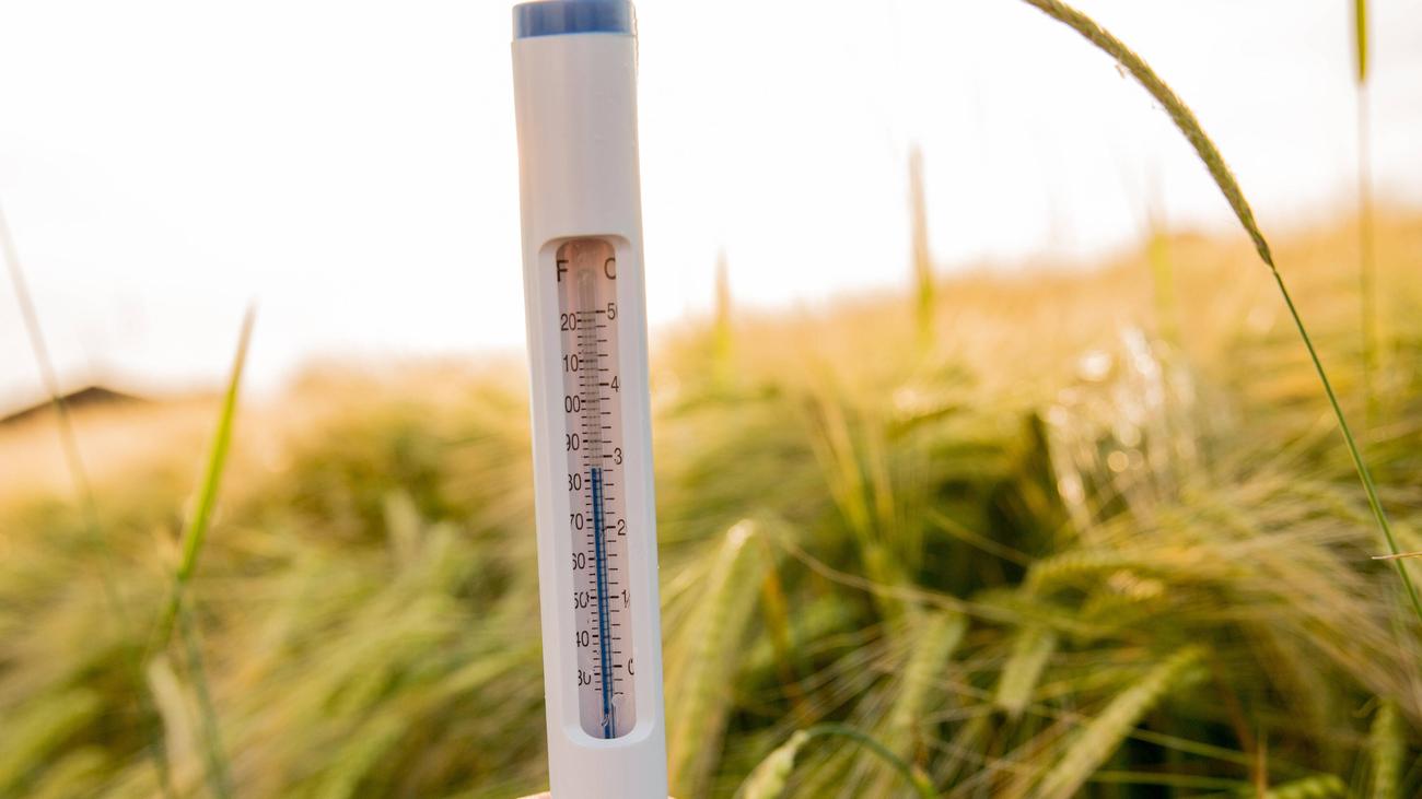 Hitzewelle: Deutschland erlebt wärmste Nacht seit Beginn der Wetteraufzeichnungen