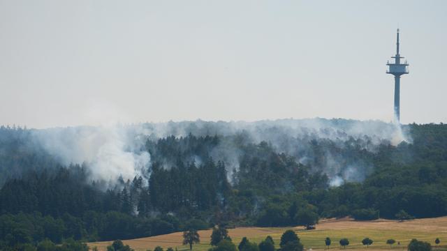Hitzewelle: 650 Einwohner müssen Ort in Rheinland-Pfalz wegen Waldbrands verlassen